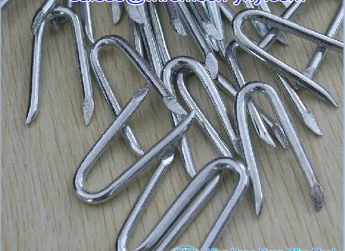 Staple U Nails Good Quality Galvanized, Competitive Price, High Efficient Cost