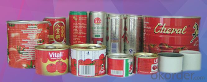 Tinplate for South American Market with High Tin Coating