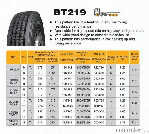 Truck and Bus Radial Tyre with High Quality BT219
