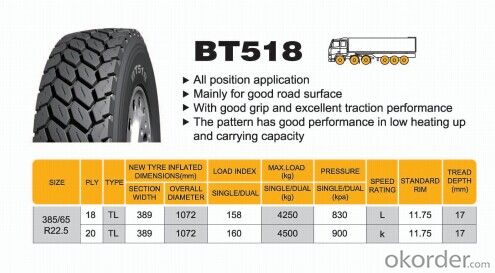 Truck and Bus Radial Tyre B518 with Good Quality