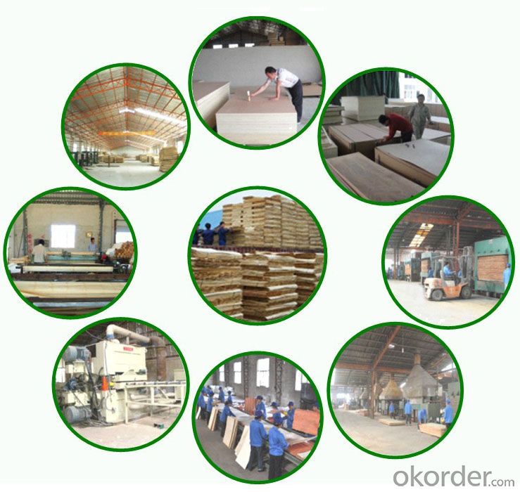 Polyester  Plywood  Melamine  Faced Plywood