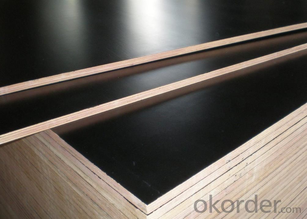 COMMERCIAL PLYWOOD GRADE AAA with Good Quality