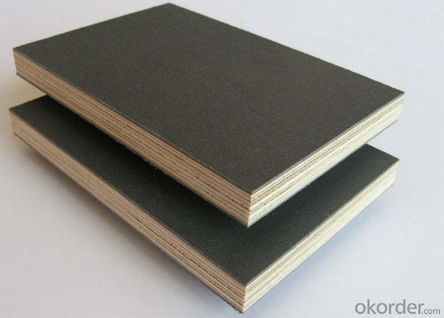 Marine Plywood Film Faced Plywood with Poplar Core and Hardwood core