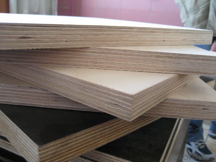 Brown Film Faced Plywood Birch Wood Core