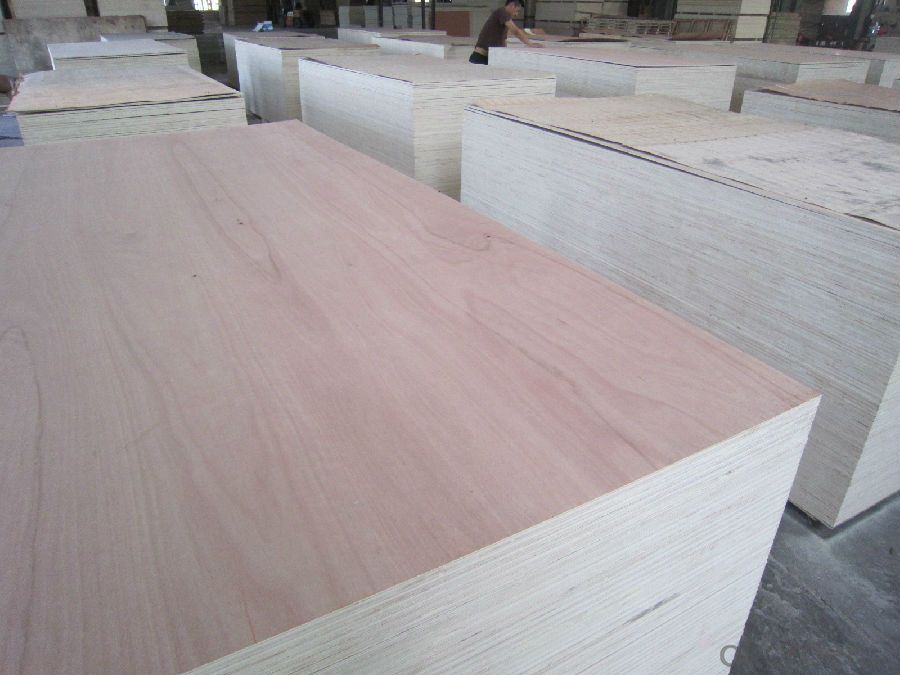 Cedar Wood Veneer face Plywood Thick Board