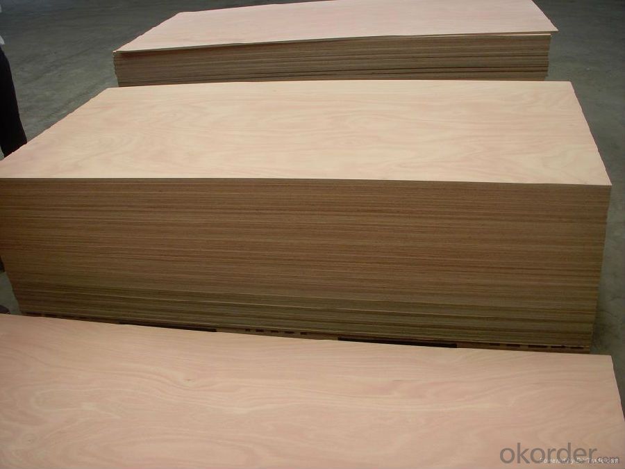 Bintangor Face Commercial  Plywood Thin Board