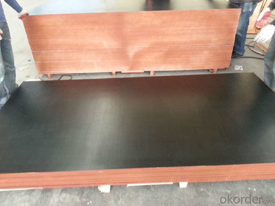 Black Film Faced Plywood Hardwood Core for Concrete Form Work