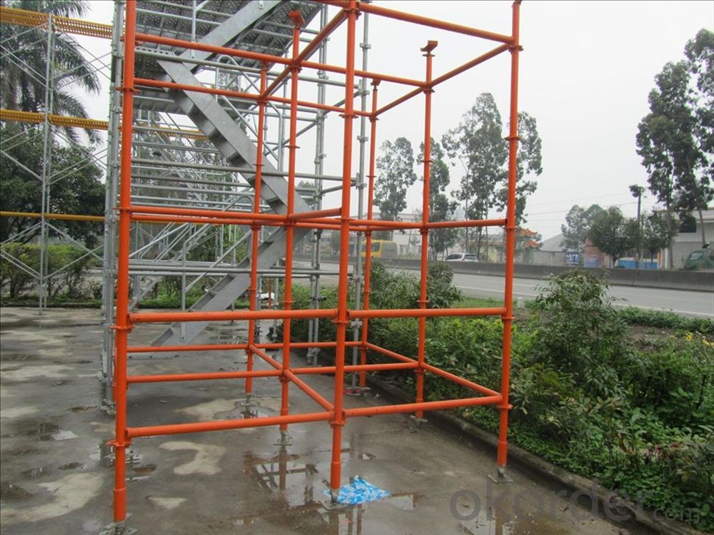Ring System Scaffolding