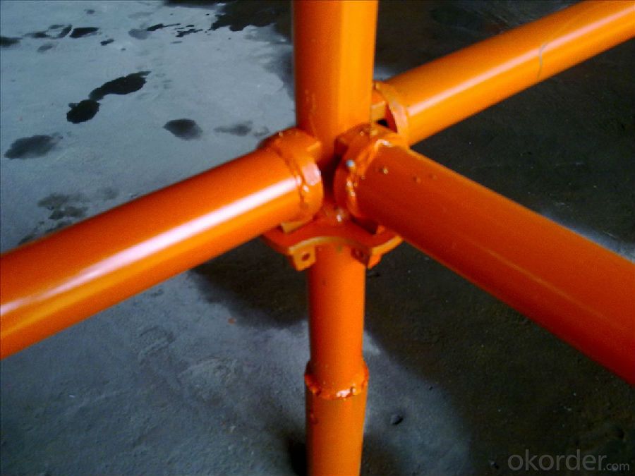 Ring System Scaffolding