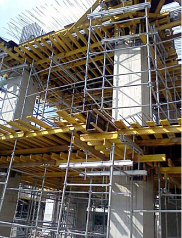 Ring Lock Scaffolding Accessories for Formwork and Scaffolding System