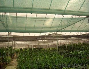 100%new hdpe anti hail nets/70% shade net/80% sun shade net