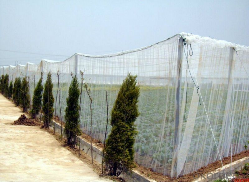 HDPE Plastic Anti Insect Net real-time quotes, last-sale prices