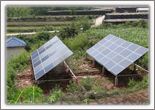 Solar pumping irrigation