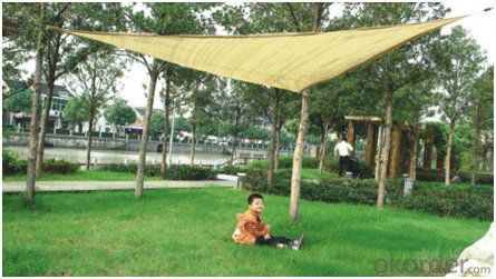 100%new hdpe anti hail nets/70% shade net/80% sun shade net