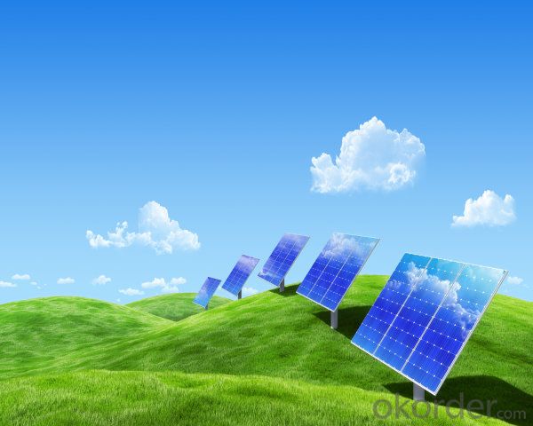 sales solar panels 280W poly 72PCS cells 36V