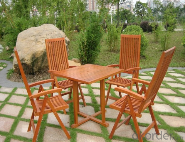 Outdoor Furniture Wood Sun Lounge with Cushion for Garden