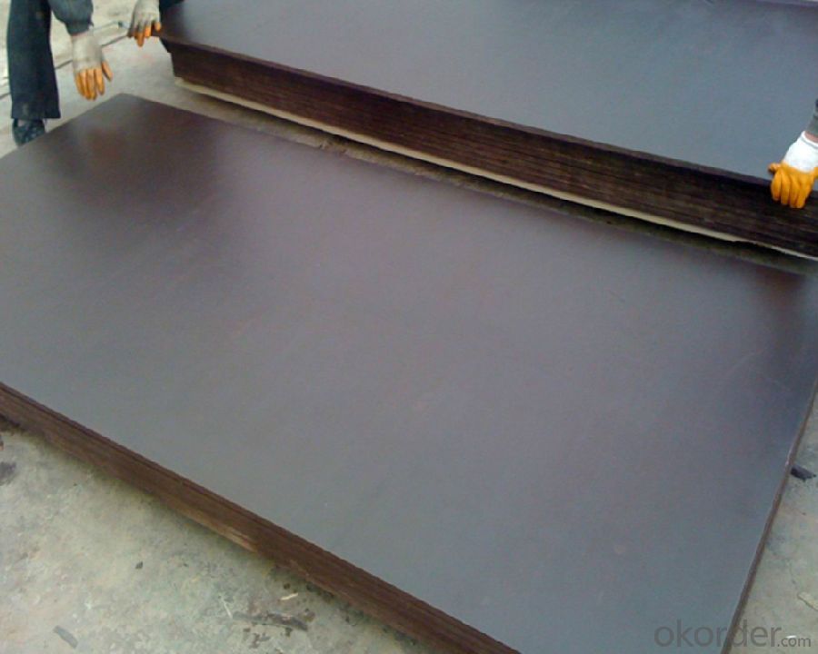 black or brown two time hot press film faced plywood