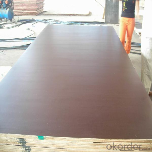 Film Faced Plywoodmanufacturer//18mm construction Plywood