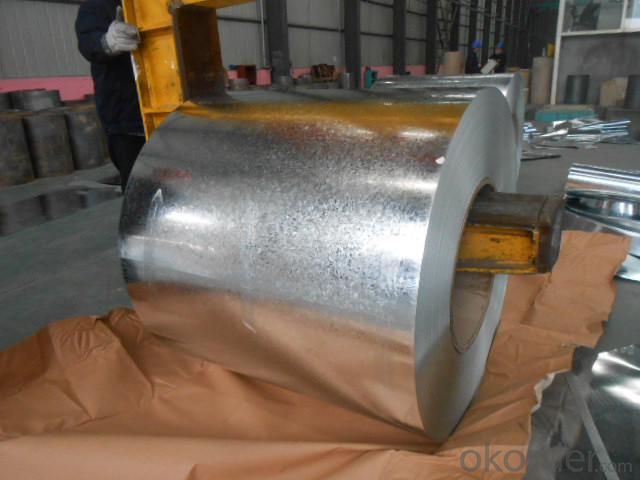 Galvanized Steel Sheet in Ciols with  Prime Quality Best Seller