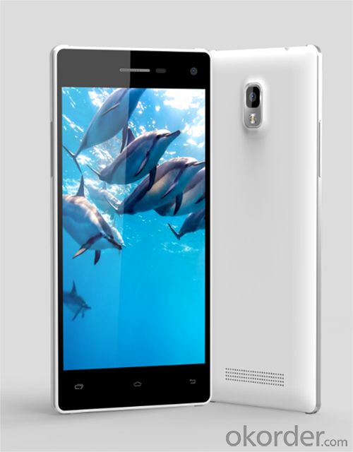 Clean & Cear 1280*720 CE/Rohs Smartphone With 3000mAh Lithium Battery Long Life