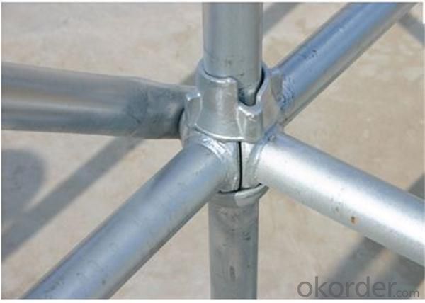 best price Galvanized  cuplock scaffolding