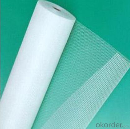 Fiberglass  Mesh High Quality 195g/m2 6*6/Inch