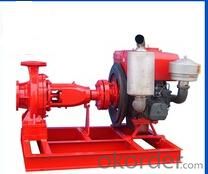 Horizontal Single Stage Double Suction Water Pump