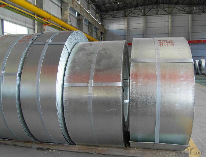Hot Dipped Galvanized Steel Coil GI in China