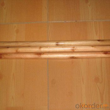 Wooden Broom Handle with Plastic Cap No Hook and Eco-Friendly Eucalyptus Wood Timber