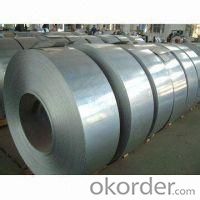 Hot Rolled Steel Coil-SAE1006 in Good Quality in CNBM