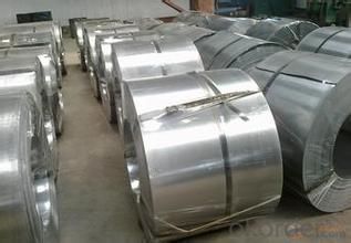 Cold rolled steel coil / sheet-SPEC in good quality