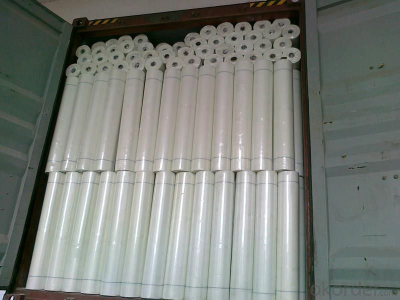 Fiberglass  Mesh High Quality 195g/m2 6*6/inch