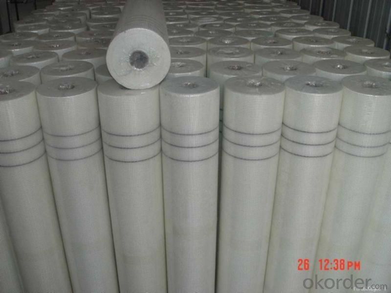 Fiberglass  Mesh High Quality 195g/m2 6*6/inch