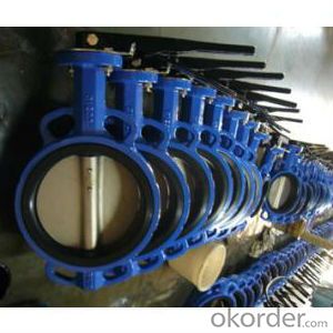 Wafer Butterfly Valve with PTFE Seat High Quality