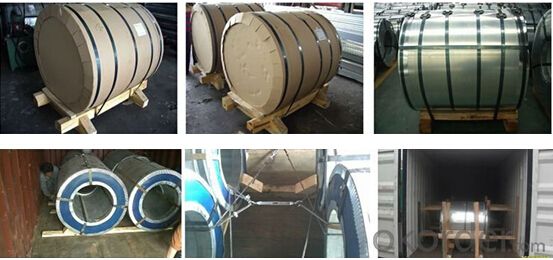 Rolled Galvanized / Colored Coated Stainless Steel Coil
