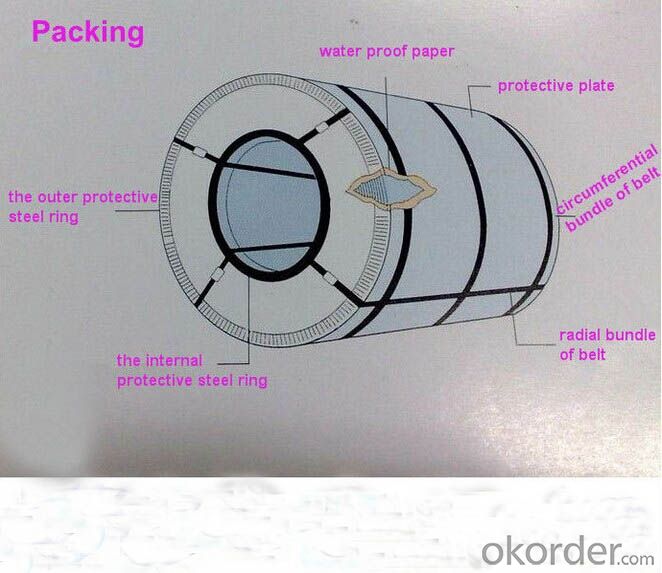 Hot Dipped Galvanized Steel Coils for Construction