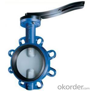 Wafer Butterfly Valve with PTFE Seat High Quality