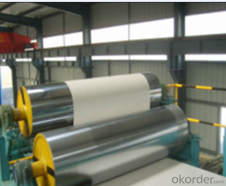 Prepainted galvanized coil/prepainted sheets/PPGI/Color Coated steel