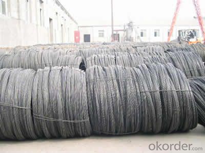 Hot Rolled Steel Wire Rod with Good Quality with The Size 8mm