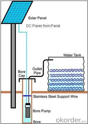 6000L solar 48V dc water pump for farm irrigation systems