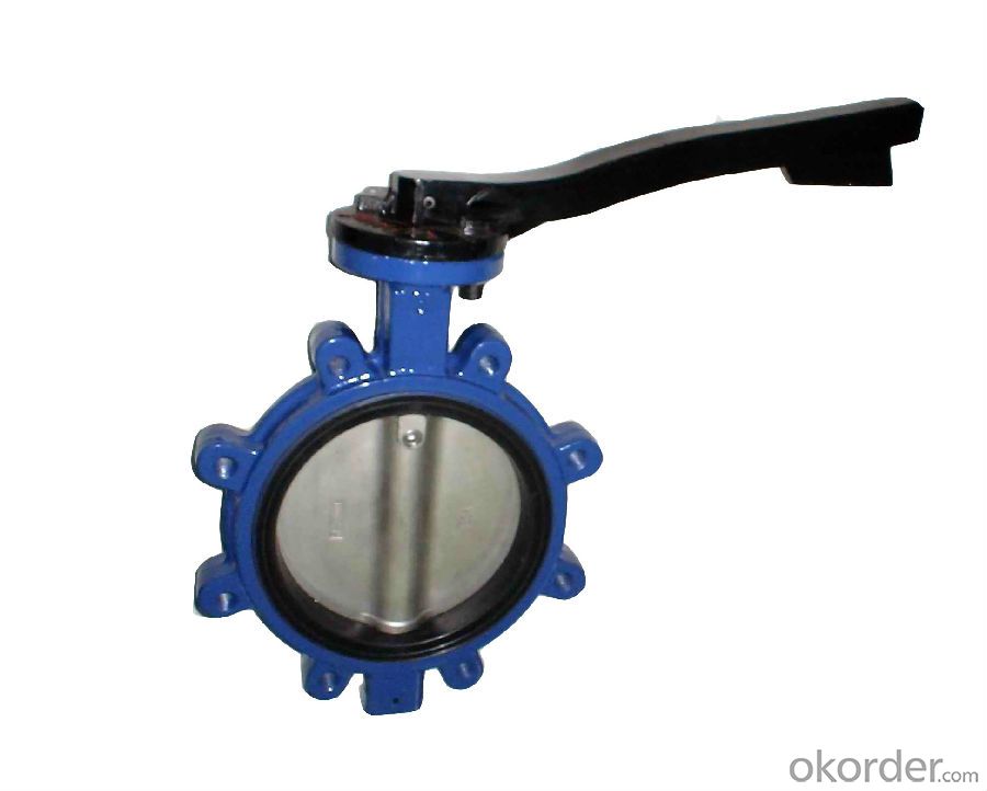 Butterfly Valve DN80 BS5163 Anti-Corrosion