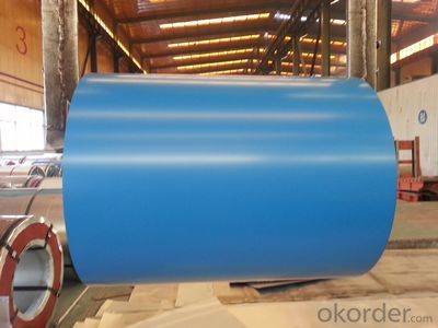 Prime Quality Prepainted Galvanized Steel Coil for Roofing Sheet