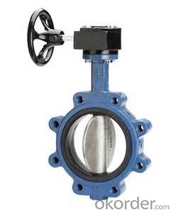 Butterfly Valve DN300 Turbine Type BS 4531 Made in China