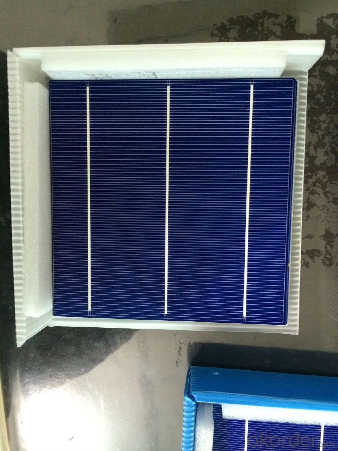 Poly Solar Cells 156*156mm B Grade Low Price