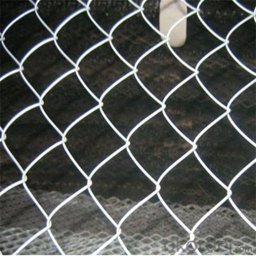 ChAIN LINK Wire Mesh for Outdoor Factory Direct Price with Good Quality