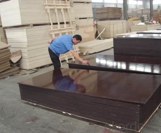 best shuttering plywood factory for film face plywood