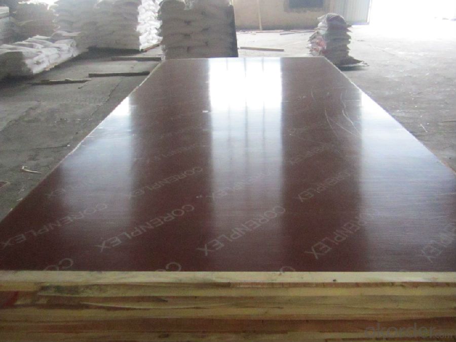 waterproof film faced plywood malaysia from linyi