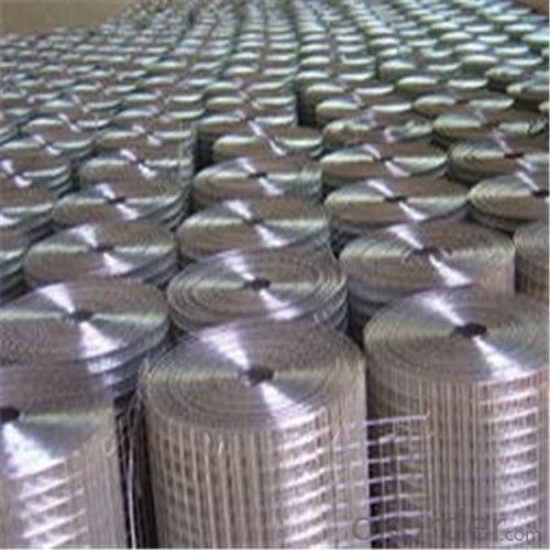 Hot-dip Galvanized Welded Wire Mesh for Building/Construction Material