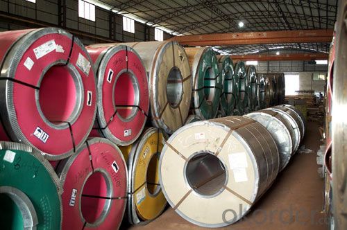 Stainless Steel Coil and Sheet Hot Rolled Cold Rolled 304/ 304L/ 316 / 316L