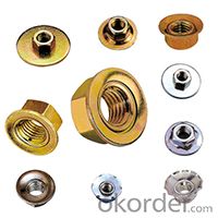 Zinc Nuts Hardware Fittings 2015 New Product with Customised Size